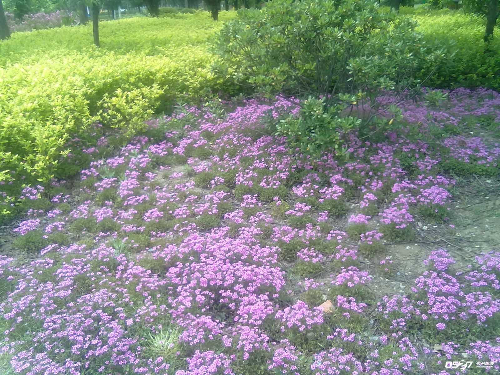 20120515566.jpg