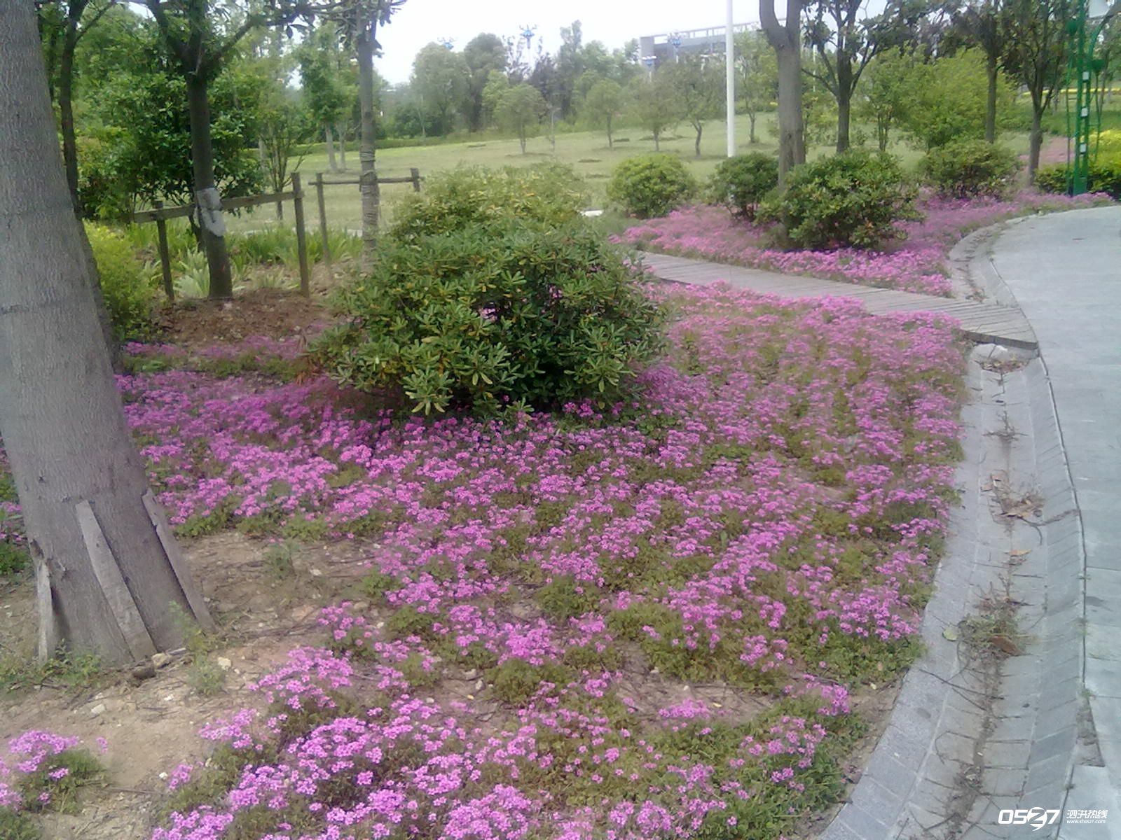 20120515567.jpg