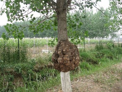 news_2012527154458.jpg