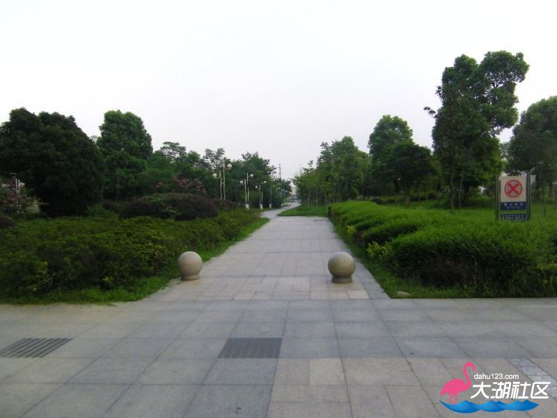 s1000_100_4701.jpg
