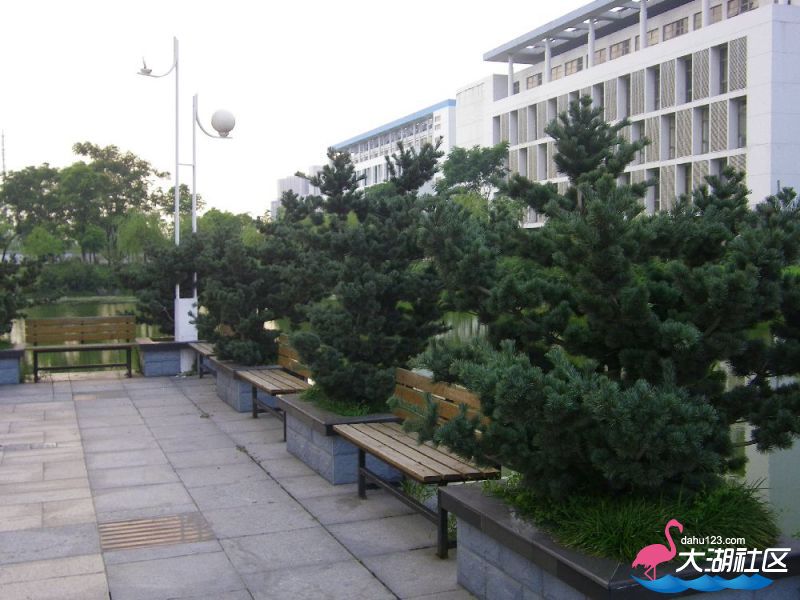 s1000_100_4711.jpg