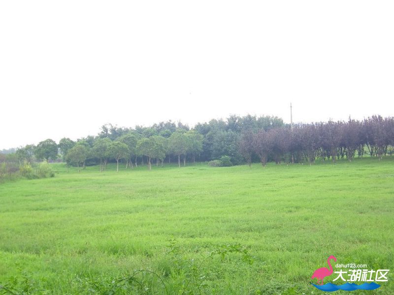 s1000_100_4591.jpg