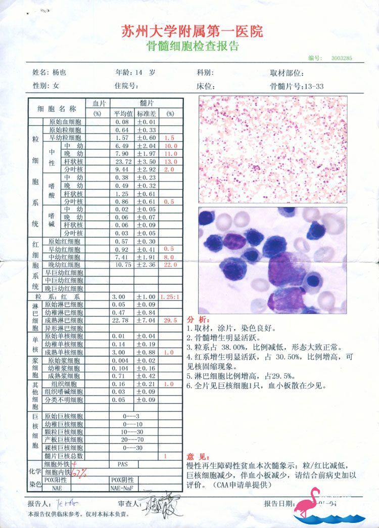 医院证明_750.jpg